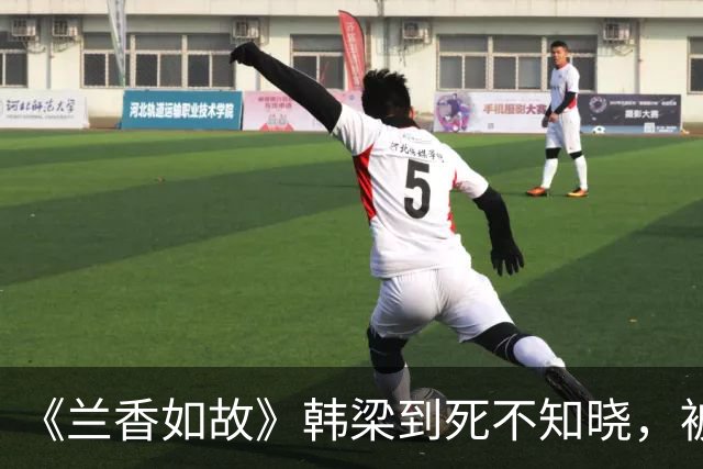 《兰香如故》韩梁到死不知晓，被林锦岐夺走的婚事，是保全许兰香全家的关键