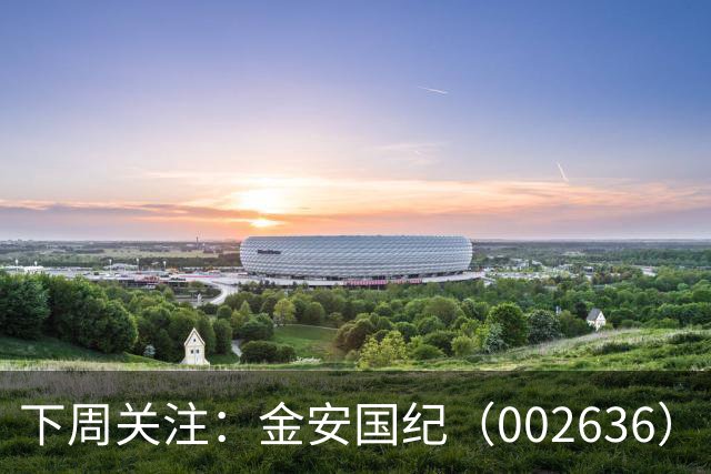 下周关注：金安国纪（002636）