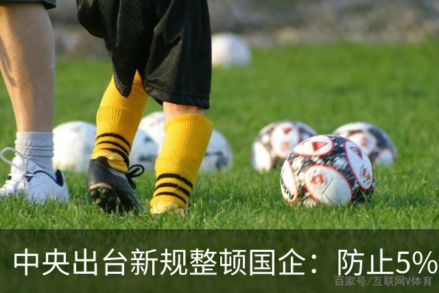 中央出台新规整顿国企：防止5%中高层拿走80%工资总额