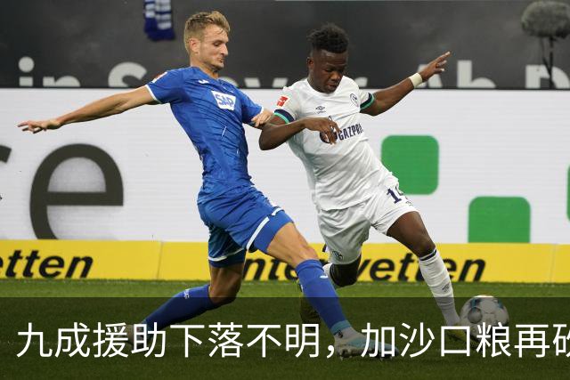 九成援助下落不明，加沙口粮再砍三分之一，欧洲的善意已经见底