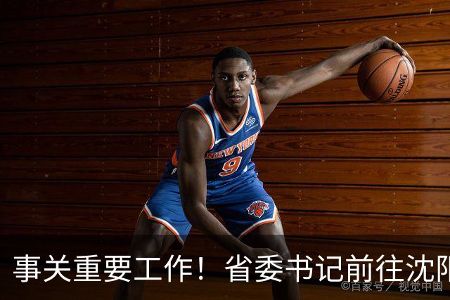 事关重要工作！省委书记前往沈阳方城等地调研