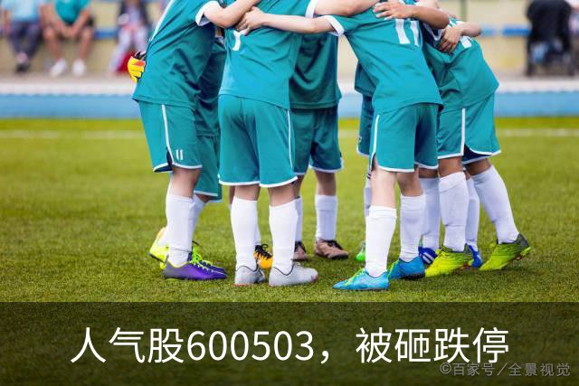 人气股600503，被砸跌停