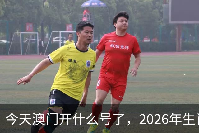 今天澳门开什么号了，2026年生肖码图，四不像正版49跑狗图图库图片大全，第291期新六合彩买什么生肖