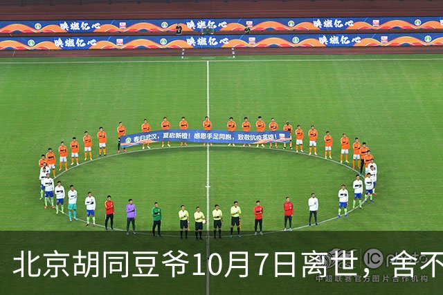 北京胡同豆爷10月7日离世，舍不得花钱硬扛小病留给世人一声叹息