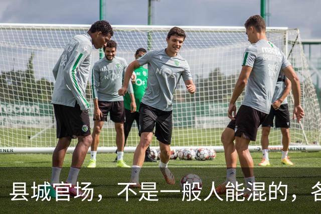 县城官场，不是一般人能混的，各种关系都要有能力应对