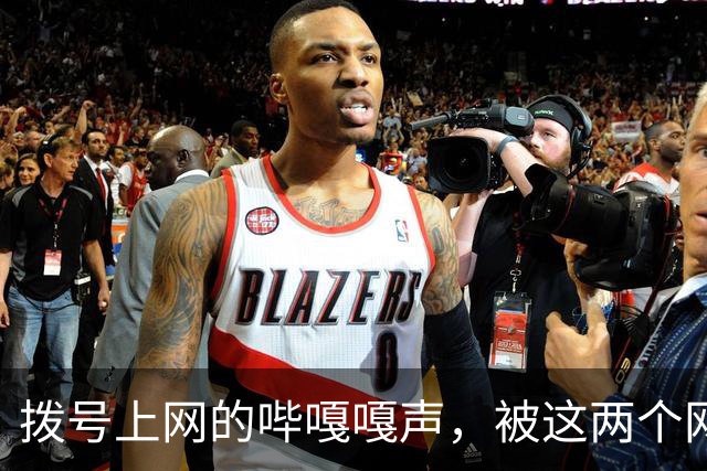 拨号上网的"哔嘎嘎"声，被这两个网站复活了