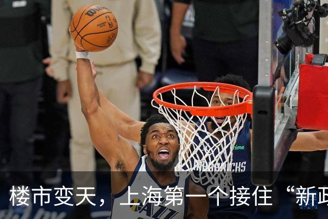 楼市变天，上海第一个接住“新政”的楼盘爆了
