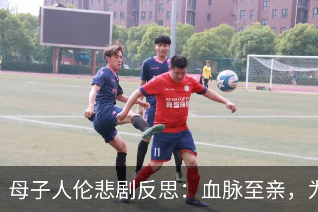 母子人伦悲剧反思：血脉至亲，为何走向互相毁灭