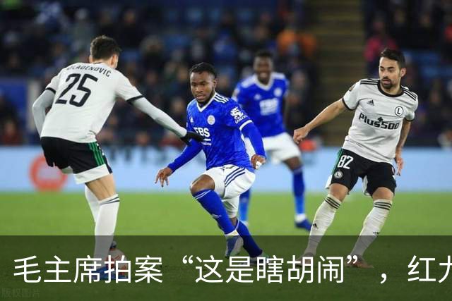毛主席拍案“这是瞎胡闹”，红九军团军团长罗炳辉，为何八路军改编时无岗？