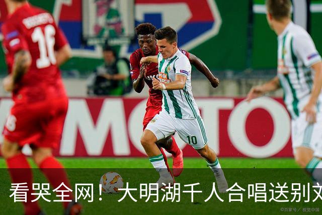 看哭全网！大明湖千人合唱送别刘欢老师