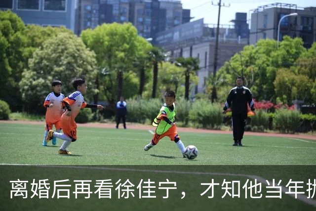 离婚后再看徐佳宁，才知他当年抛弃徐梵溪娶李小冉，并非明智之举