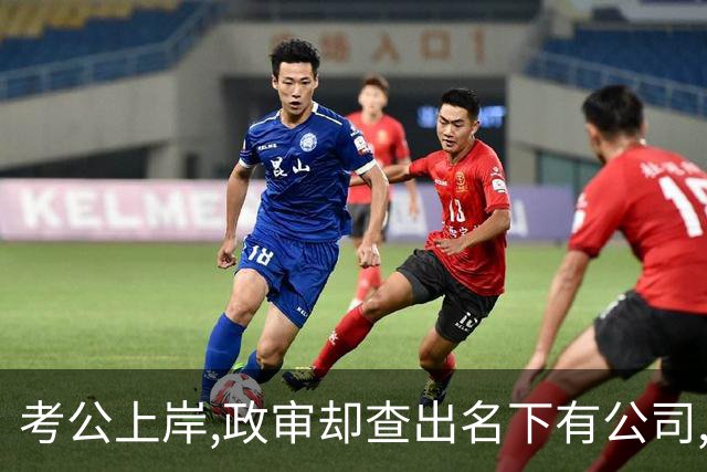 考公上岸,政审却查出名下有公司,我没闹,直接用法人身份拆了公司