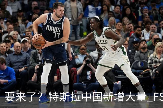 要来了？特斯拉中国新增大量 FSD 功能和图标