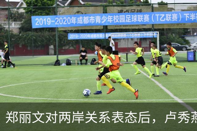 郑丽文对两岸关系表态后，卢秀燕罕见提“全省各地”？