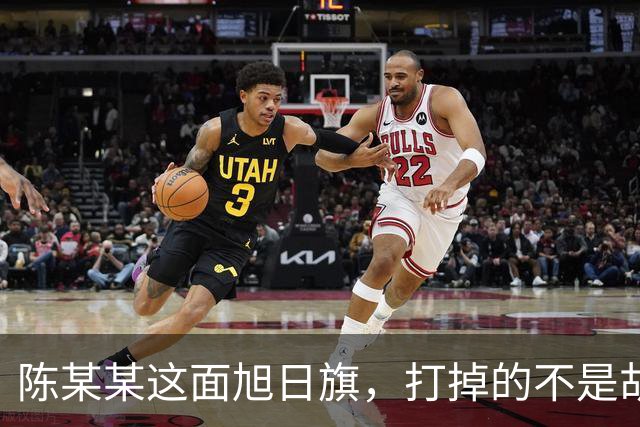 陈某某这面旭日旗，打掉的不是胡锡进的面子，是一层中邪论的滤镜