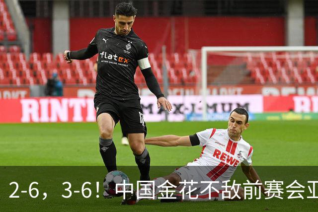 2-6，3-6！中国金花不敌前赛会亚军，止步WTA500宁波站女单首轮